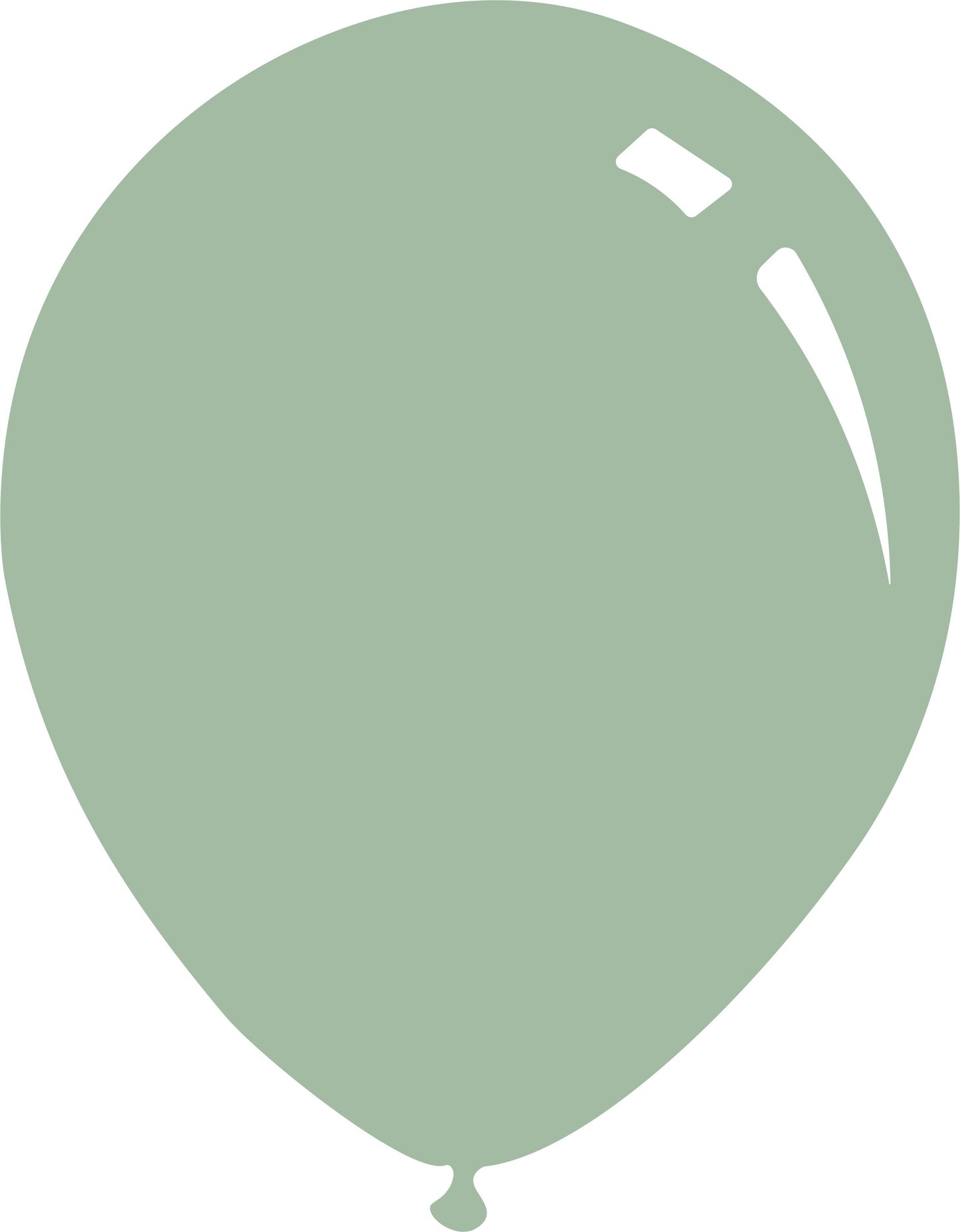 Decomex Eucalyptus